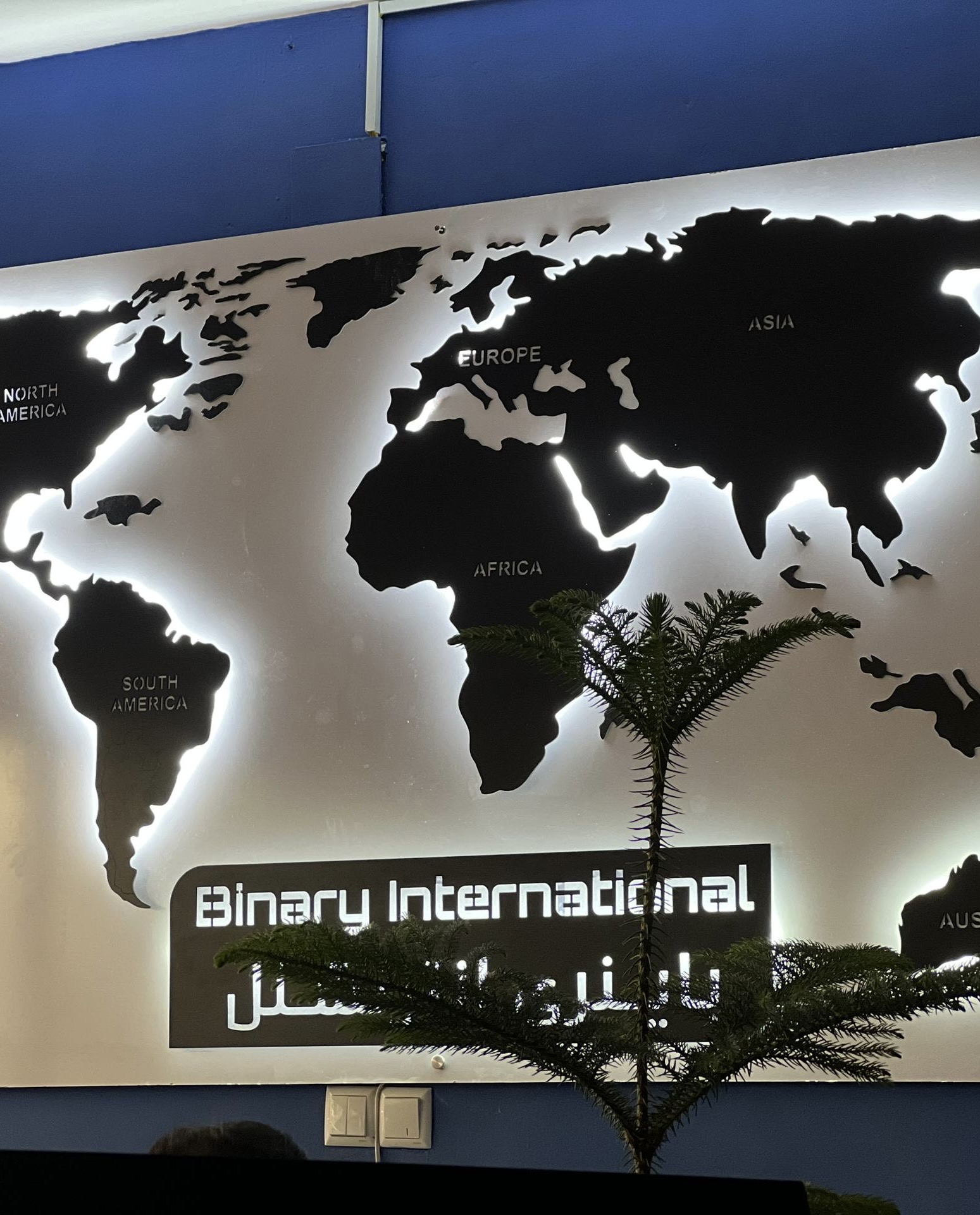 About Binary International